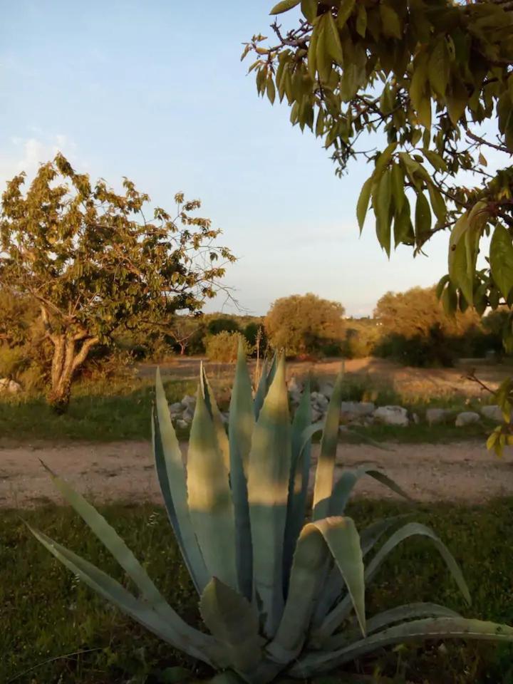 Masseria Fra Diavolo Konuk evi Castellana Grotte Dış mekan fotoğraf