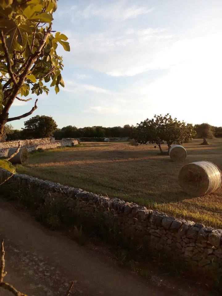 Masseria Fra Diavolo Konuk evi Castellana Grotte Dış mekan fotoğraf