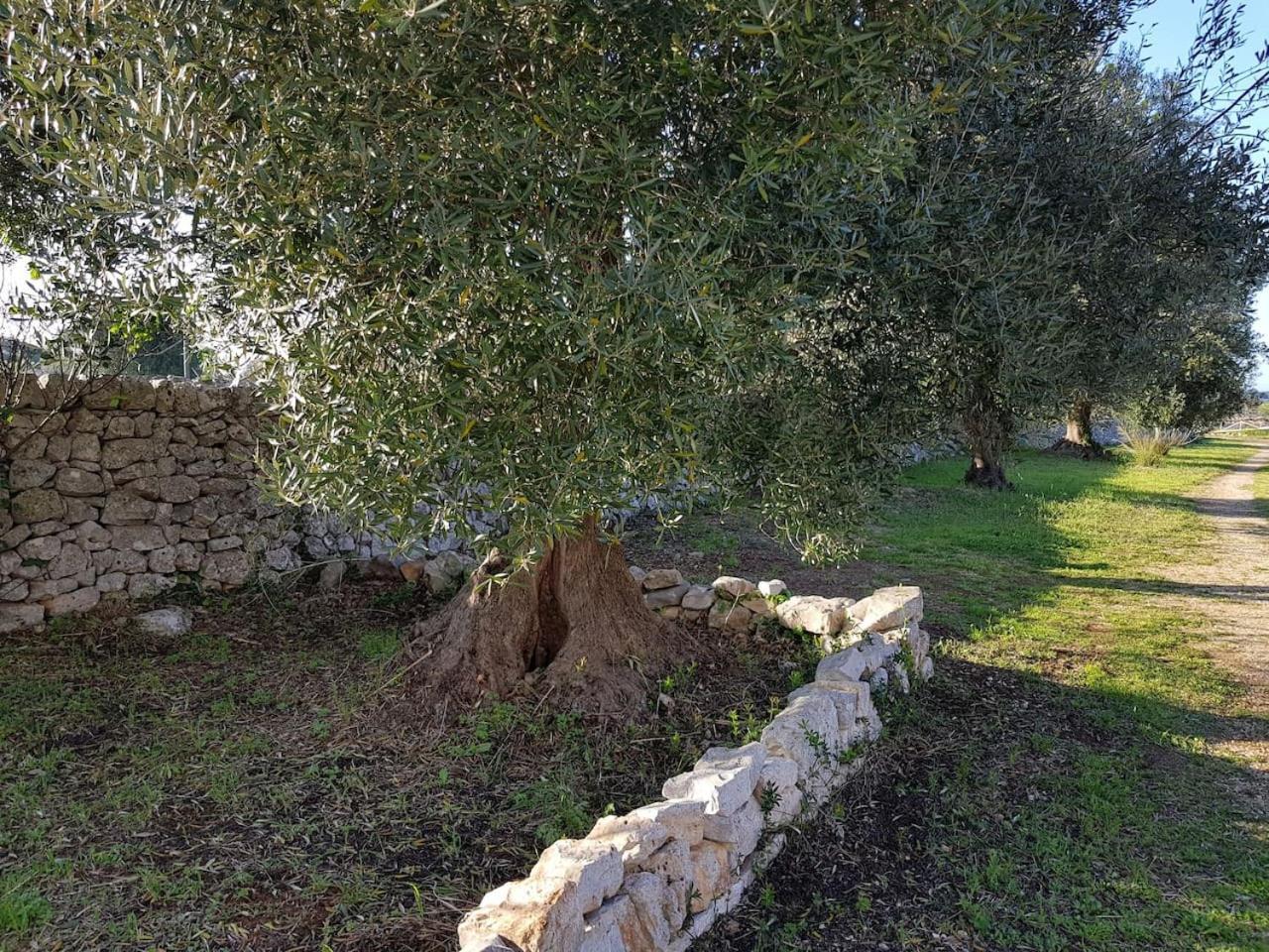 Masseria Fra Diavolo Konuk evi Castellana Grotte Dış mekan fotoğraf