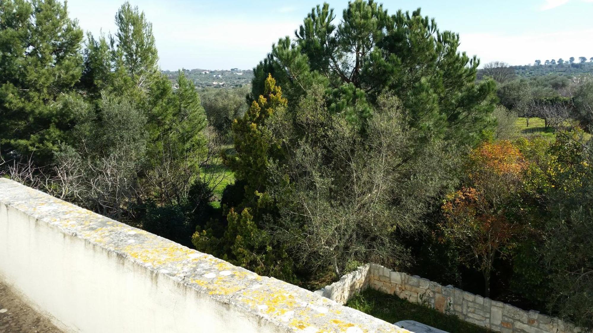 Masseria Fra Diavolo Konuk evi Castellana Grotte Dış mekan fotoğraf